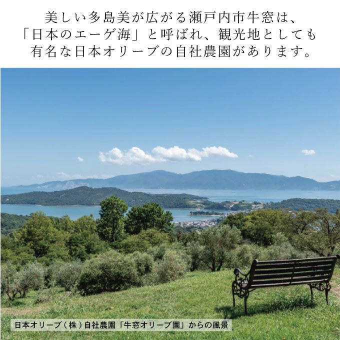 岡山県瀬戸内市のふるさと納税 オーガニック 有機 オリーブオイル 450g×2本 セット 食用油 オリーブ油 植物オイル 植物油 フルーティー オリジナルブレンド 炒め物 ソテー ドレッシング 調理 料理