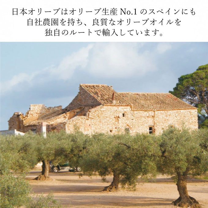 岡山県瀬戸内市のふるさと納税 オーガニック 有機 オリーブオイル 450g×2本 セット 食用油 オリーブ油 植物オイル 植物油 フルーティー オリジナルブレンド 炒め物 ソテー ドレッシング 調理 料理