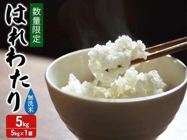 【青森県鰺ヶ沢町】新米 数量限定 令和7年産 はれわたり 無洗米 5kg 1袋 米 白米 こめ お米 おこめ コメ ご飯 ごはん 特A 特A米 令和7年 限定 H.GREENWORK 青森 青森県 鯵ヶ沢町