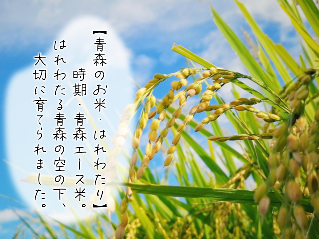 moana9 　新米20㎏「はれわたり」青森県産【天日干し米】 moana9 様 専用 新米20㎏「はれわたり」青森県産【天日干し米】