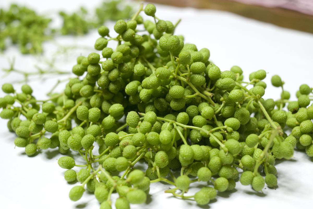 C6030n_まるとも海産【冷凍】茹でたて 釜揚げしらす 400g (200g×2) ちりめん山椒 400g (200g×2) セット 紀州湯浅湾直送！