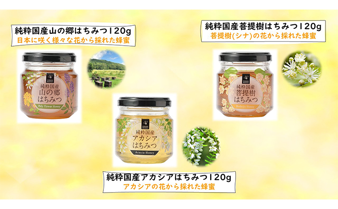 プロポリスエキス 10ml・国産はちみつ3本入り セット　天然　蜂蜜　ハチミツ 加工食品 フラボノイド 桂皮酸誘導体 百花蜜 アカシア 上品な甘み 優しい味わい 菩提樹 