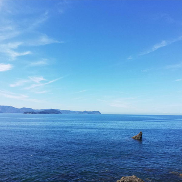 C6035n_ 優良県産品 認定 釜揚げしらす 茹でたて 釜揚げ しらす 無着色 安心 安全 赤穂の塩 新鮮 国産 海の幸 海鮮 魚介 紀州湯浅湾直送 まるとも海産 お取り寄せ 和歌山県 湯浅町 送料無料