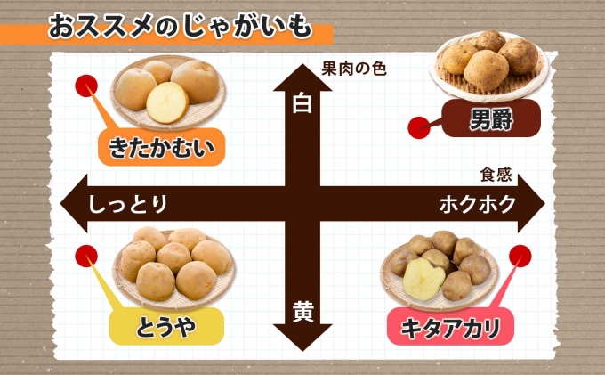 黒だんしゃく　白男しゃく 先行予約】今金男しゃく（Lサイズ）約10kg【GI認証取得】（2025