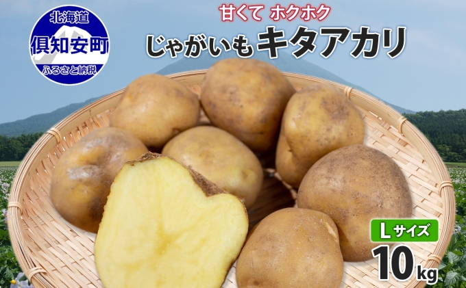 特大　ジャガイモ　20kg 19 Amazon | 北海道産 新じゃが じゃがいも 男爵薯 10kg (共撰/M-LM