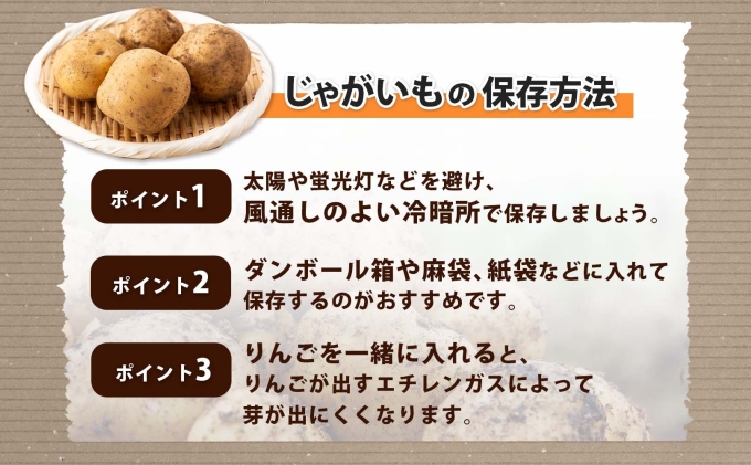 北海道産 じゃがいも キタアカリ Lサイズ 10kg 馬鈴薯 きた