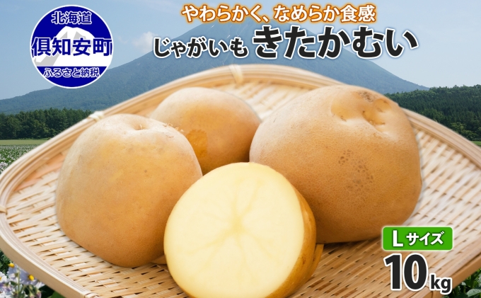 北海道産 じゃがいも きたかむい Lサイズ 10kg 馬鈴薯