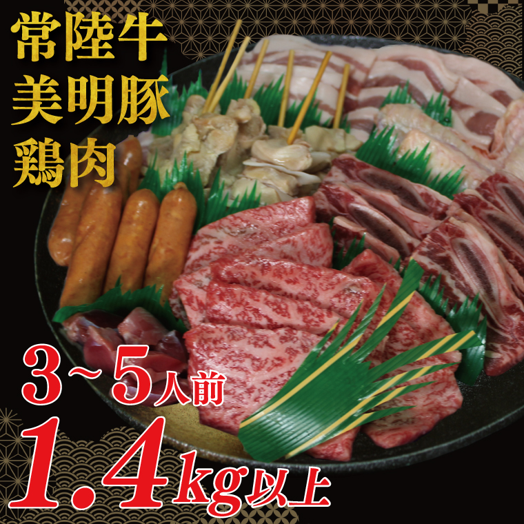 茨城県行方市のふるさと納税 DT-59　バーベキューセット（3～5人前）【合計１.４kg以上】