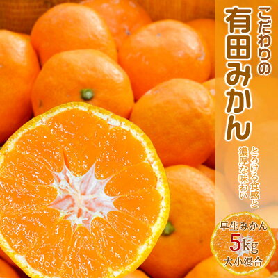 【和歌山県有田郡湯浅町】EA6029n_濃厚な味わいのこだわり 有田みかん 5kg (早生みかん・大小混合)