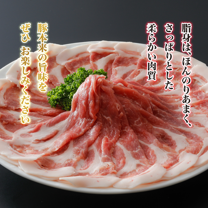 島根県邑南町のふるさと納税 石見ポーク バラブロック 2kg（ブロック1kg×2本）