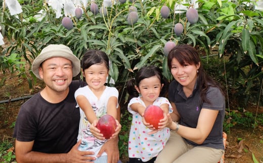 渡慶次マンゴー園の完熟マンゴー約2Kg【 先行予約 2026年発送 】