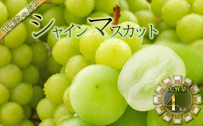 【長野県坂城町】シャインマスカット 4kg 果物類 ぶどう フルーツ 4kg