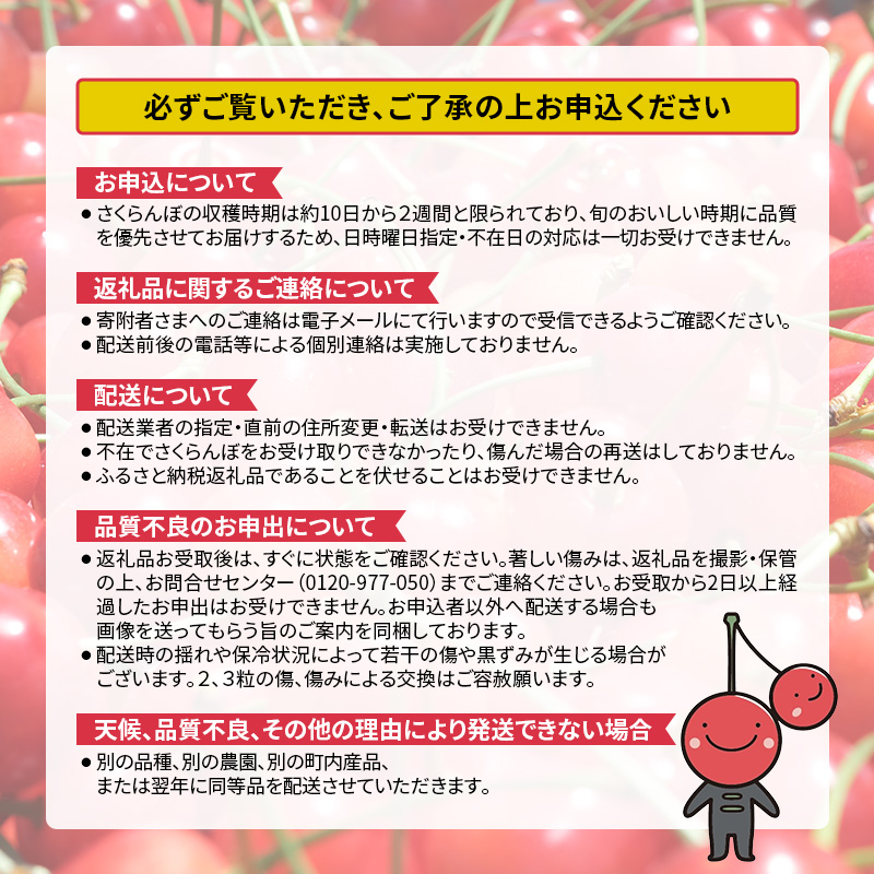 [先行受付] 数量限定 北海道 仁木町産 果肉がプリ しっかり大粒 甘い さくらんぼ 紅秀峰 600g Lサイズ以上 リピーター 朝採り 甘み ジューシー サクランボ チェリー フルーツ 果物 果物類 仁木町 仁木 [鶴田農園]