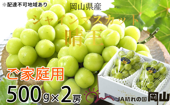 【岡山県瀬戸内市】ぶどう 2025年 先行予約 ご家庭用 シャイン マスカット 晴王 約500g×2房 ブドウ 葡萄  岡山県産 国産 フルーツ 果物 岡山のぶどう 旬のフルーツ 旬の果物 大粒 種無し