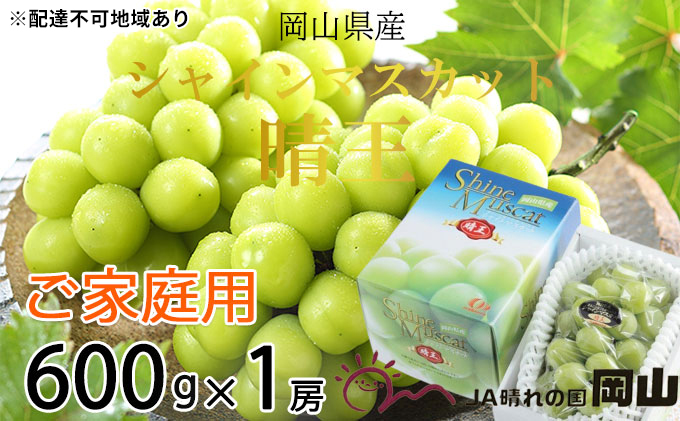 yR˓szԂǂ 2025N s\ ƒp VC }XJbg  600g×1[ uhE   RY Y t[c ʕ R̂Ԃǂ {̃t[c {̉ʕ 嗱 햳
