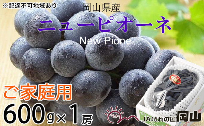 ぶどう 2025年 先行予約 ご家庭用 ニューピオーネ 約600g×1房 ブドウ 葡萄  岡山県産 国産 フルーツ 果物 巨峰 美しい 外観 大粒 高糖度 種なし 皮ごと 芳醇 酸味 美味しい 絶妙 バランス 大人気 