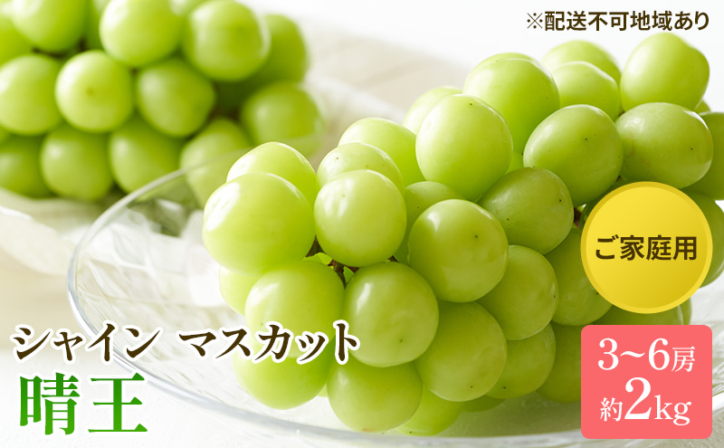 【岡山県玉野市】ぶどう 2025年 先行予約 ご家庭用 シャイン マスカット 晴王 3〜6房 約2kg ブドウ 葡萄  岡山県産 国産 フルーツ 果物 太陽 美しい 外観 大粒 高糖度 種なし 皮ごと 弾力 食感 美味しい