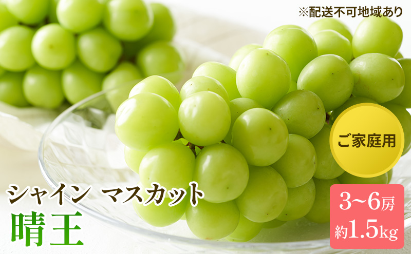 ぶどう 2026年 先行予約 ご家庭用 シャイン マスカット 晴王 3～6房 約1.5kg ブドウ 葡萄  岡山県産 国産 フルーツ 果物 太陽 美しい 外観 大粒 高糖度 種なし 皮ごと 弾力 食感 美味しい 