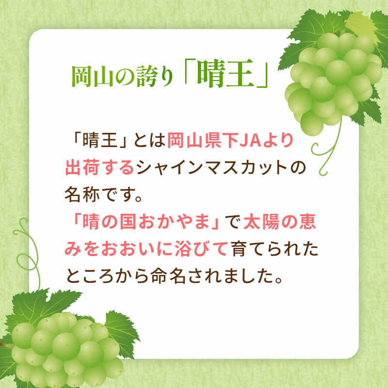 ぶどう 2026年 先行予約 ご家庭用 シャイン マスカット 晴王 3～6房 約1.5kg ブドウ 葡萄  岡山県産 国産 フルーツ 果物 太陽 美しい 外観 大粒 高糖度 種なし 皮ごと 弾力 食感 美味しい 