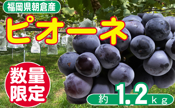 yqszԂǂ sI[l s\ 2`4[ 1.2kg zs  ʕ t[c fU[g H  ` Â _ Yn Y qsY