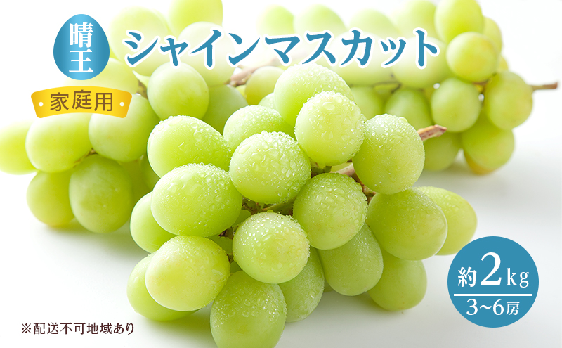 yRzԂǂ 2025N s\ ƒp VC }XJbg  3`6[ 2kg uhE  RY Y t[c ʕ 嗱 x Ȃ 炲 햳Ԃǂ Yn