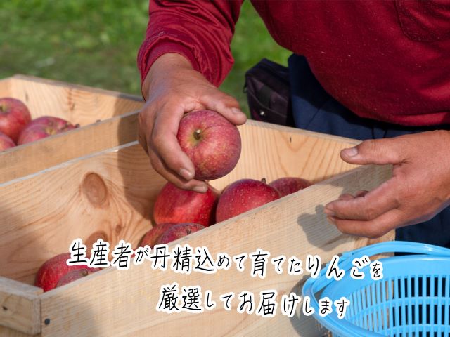 【 1月発送 】ヒバリノ園 サンふじ 約 5kg （14～18玉）青森県鰺ヶ沢町産 りんご 果物 フルーツ デザート シャキシャキ ※オンライン決済のみ