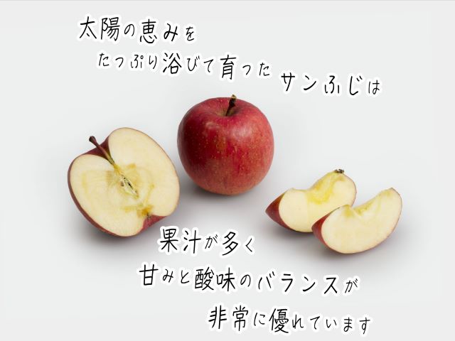 【 1月発送 】 訳あり ヒバリノ園 サンふじ 約 5kg （14～18玉）青森県鰺ヶ沢町産 りんご 果物 フルーツ デザート シャキシャキ ※オンライン決済のみ 