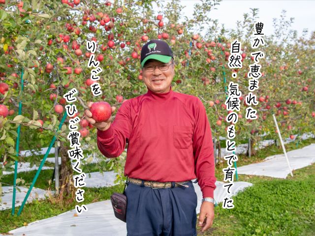 【 1月発送 】ヒバリノ園 サンふじ 約 5kg （14～18玉）青森県鰺ヶ沢町産 りんご 果物 フルーツ デザート シャキシャキ ※オンライン決済のみ