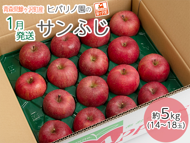 【 1月発送 】ヒバリノ園 サンふじ 約 5kg （14～18玉）青森県鰺ヶ沢町産 りんご 果物 フルーツ デザート シャキシャキ ※オンライン決済のみ
