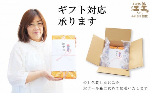 北海道江差町のふるさと納税 五勝手屋本舗『詰合せ羊羹』（C）流し羊羹1本／ミニ流し羊羹2本／丸缶羊羹4本／ミニ丸缶羊羹2本　金時豆のようかん　保存料不使用　五勝手屋羊羹の老舗　和菓子　銘菓　名物　贈答用　ギフト　お中元　お歳暮　お祝い　のし　熨斗