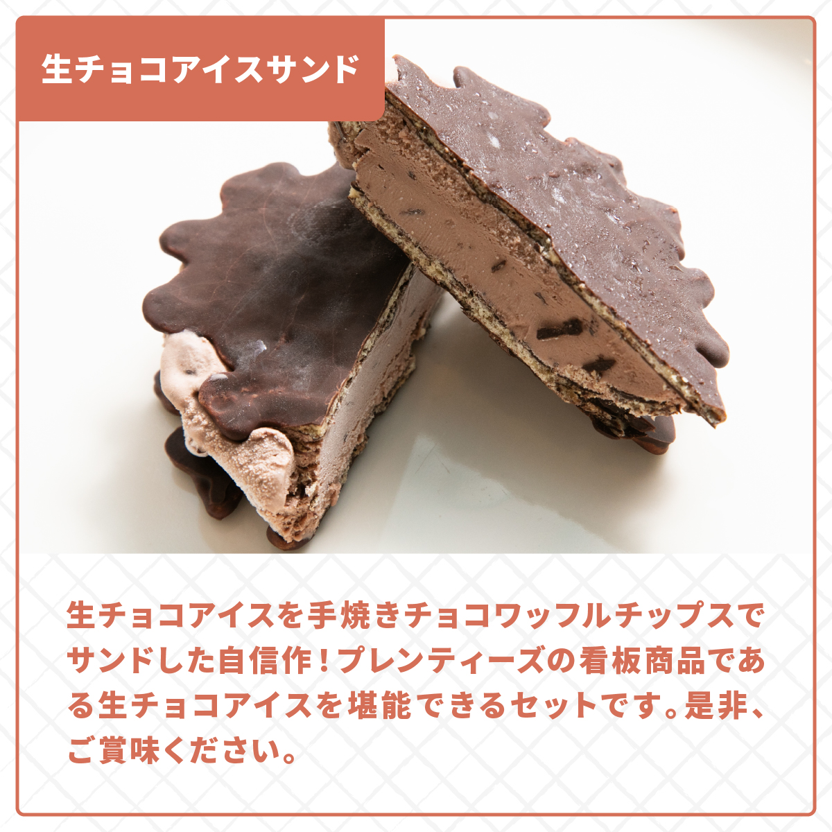 プレンティーズ 生チョコアイスサンド 10個 生チョコアイス 生チョコ アイス チョコレート チョコ チョコアイス チョコレートアイス 生チョコレートアイス 茅ヶ崎名物 ローカルアイス お取り寄せ 送料無料 神奈川県 茅ヶ崎市