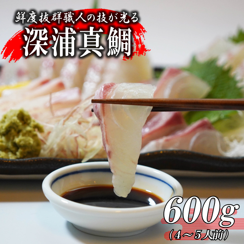 yQ쒬z󂠂 ^ ^C hg 600giؐgig500gEJ}100gj   s  ^pbN VN N {B J} Ⓚ   Jpb` ߂ ⒃Ђ Ђ ؂g  A Ă hg Ԃ ₵ j n̓ Mtg 蕨 