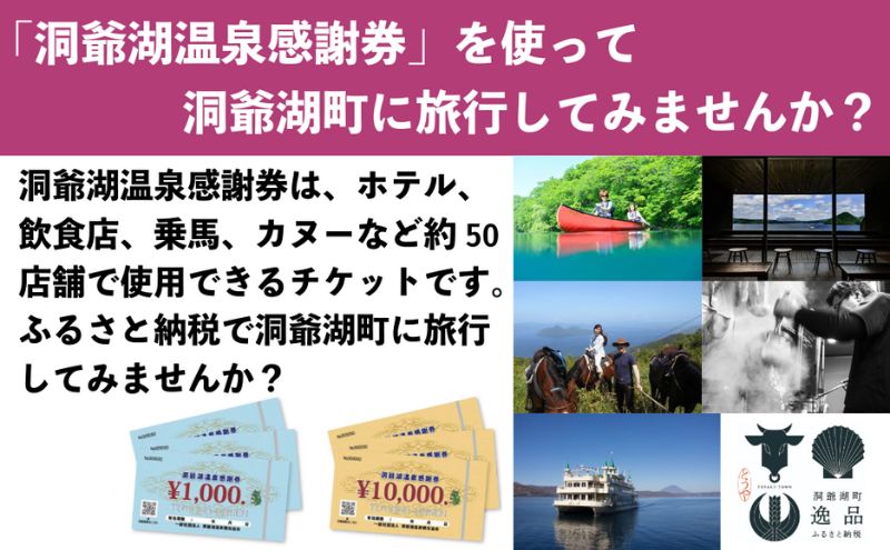 洞爺湖温泉感謝券 60000円 分 金券 クーポン 洞爺湖 湖 温泉 リゾート 有珠山 火山 自然 花火 イルミネーション 旅行 観光 宿泊 施設 北海道 within2025