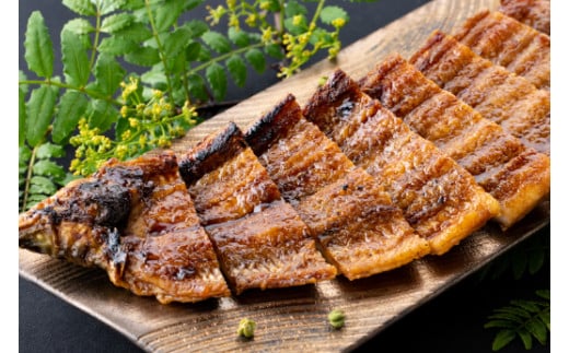  【手仕込み！食べれば納得！】近江牛ローストビーフ＆うなぎ蒲焼セット【D021W】