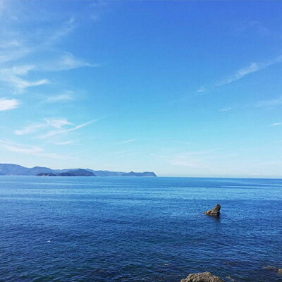 C6038n_まるとも海産【冷凍】紀州湯浅湾直送！海の恵み茹でたて 釜揚げしらす 500g