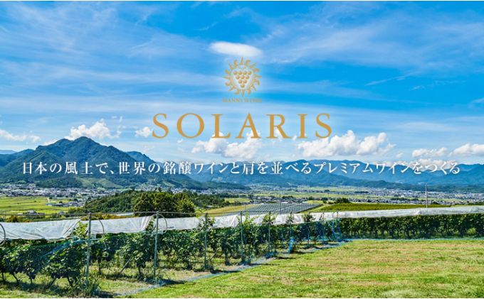 ソラリス スタンダードセット ワインセット ワイン 赤ワイン 白ワイン フレッシュ 果実香 ほどよい酸味 アロマ 果実味 タンニン 