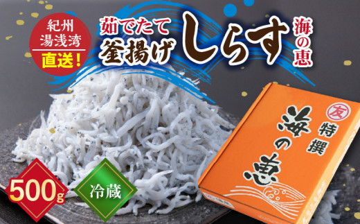 C6039n_【冷蔵】 茹でたて 釜揚げしらす 海の恵み 500g 紀州湯浅湾直送！【しらす干し ちりめんじゃこ シラス】