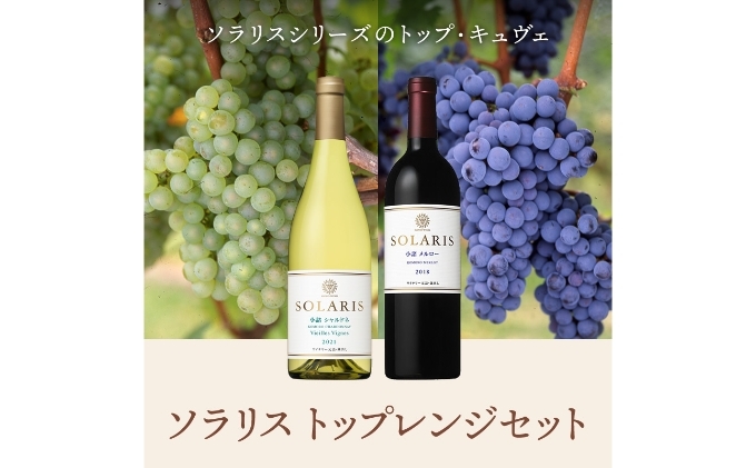 【長野県小諸市】ソラリス トップレンジセット ワインセット ワイン 赤ワイン 白ワイン シャルドネ メルロー 果実味 酸味 トースト香 スパイス 果実味 タンニン