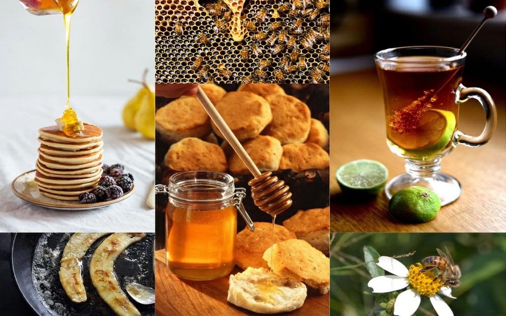 うるま市で採れた「サシ草はちみつ」230g×2本セット