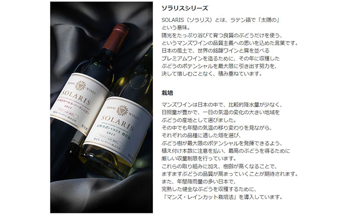 ソラリス 千曲川 カベルネ・ソーヴィニヨン 750ml×1本 赤ワイン お酒 ぶどう酒 タンニン 完熟した香り 果実味 スパイシー 晩酌 おうちディナー 飲み物 家飲み 宅飲み 