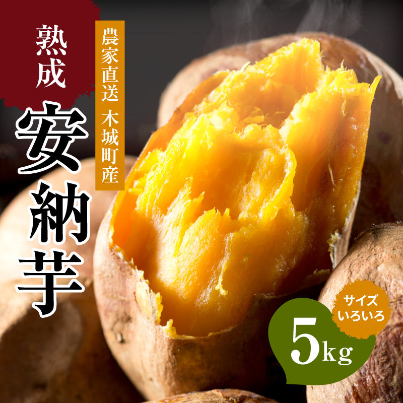 宮崎県木城町のふるさと納税 農家直送　木城町産　熟成安納いも5kg K30_0001_1