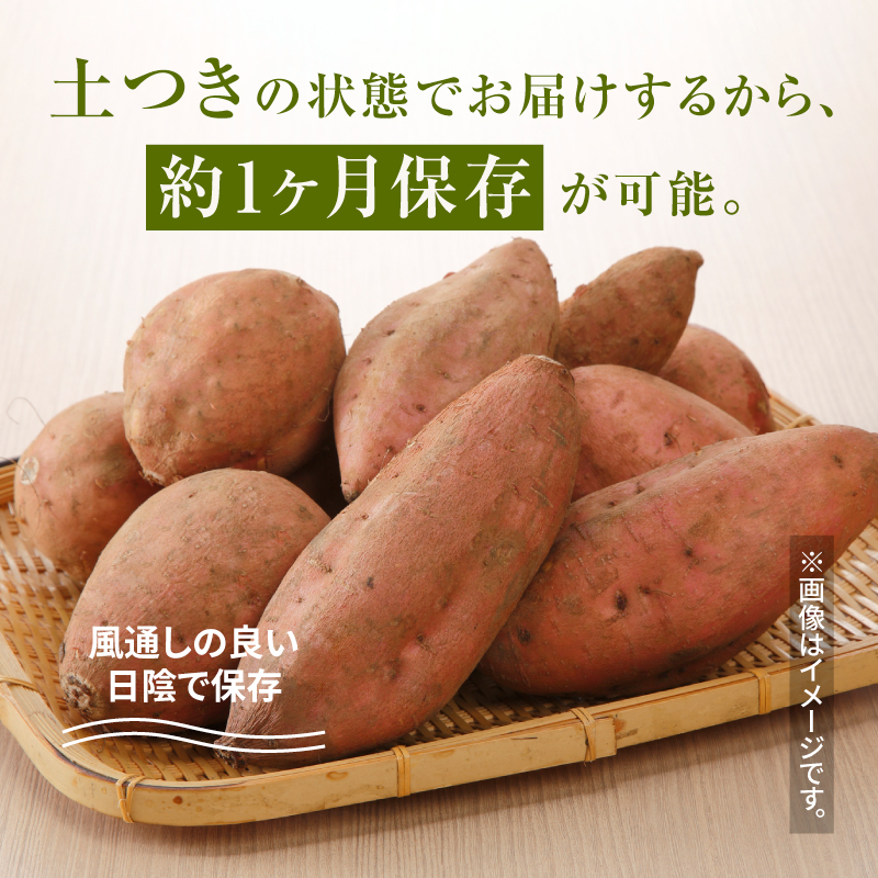宮崎県木城町のふるさと納税 農家直送　木城町産　熟成安納いも5kg K30_0001_1