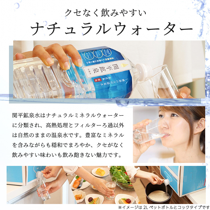 鹿児島県霧島市のふるさと納税 A0-360 関平鉱泉水(ペットボトル)2L×10本！霧島山麓の大自然の中から湧出する温泉水♪美容と健康のミネラル成分シリカが豊富なミネラルウォーター【関平鉱泉所】霧島市 シリカ水 天然水