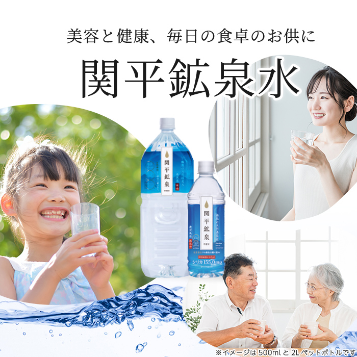 鹿児島県霧島市のふるさと納税 A0-360 ＜年内発送＞関平鉱泉水(ペットボトル)2L×10本！霧島山麓の大自然の中から湧出する温泉水♪美容と健康のミネラル成分シリカが豊富なミネラルウォーター【関平鉱泉所】霧島市 シリカ水 天然水