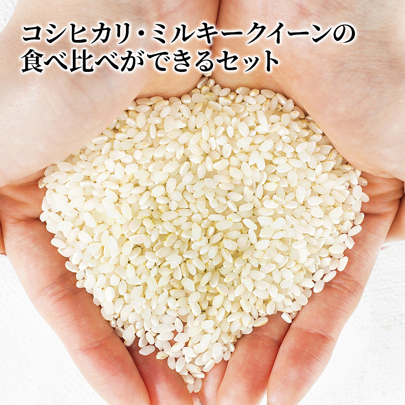 米 10kg (各5kg) コシヒカリ ミルキークイーン 池田町産 8分づき 分つき精米 お米 おこめ こめ コメ ごはん ご飯 有機肥料 減農薬栽培 こしひかり ミルキークィーン 岐阜県 