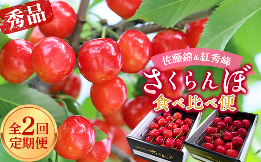 【令和8年産先行予約】 《定期便2回》 さ