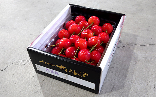 山形県南陽市のふるさと納税 【令和8年産先行予約】 《定期便2回》 さくらんぼ食べ比べ定期便 「佐藤錦・紅秀峰」 各500g (秀品) 『マルエ青果』 果物 くだもの フルーツ 山形県 南陽市 [1888]