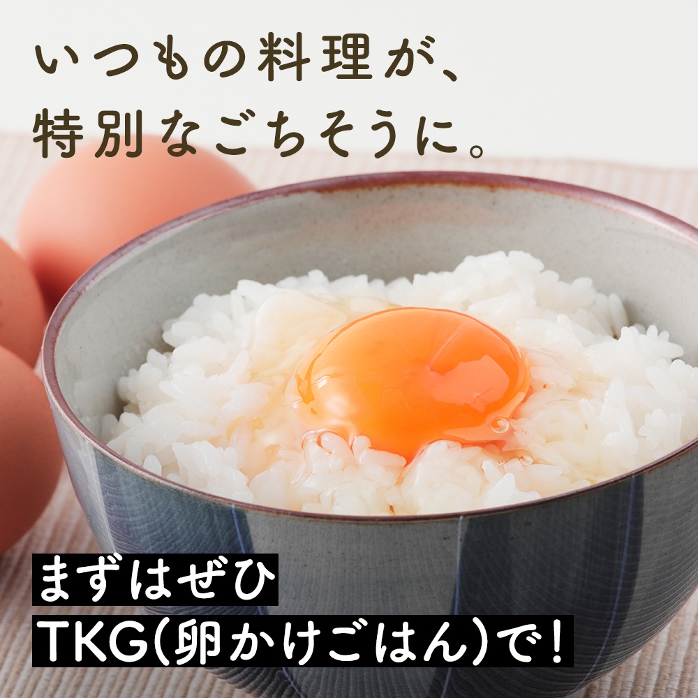 神奈川県伊勢原市のふるさと納税 坂本養鶏 大山の麓で育った さかもとのたまご 80個 (72個＋割れ保証8個)｜伊勢原市 赤玉卵 玉子 鶏卵 生卵 国産 TKG タマゴ 新鮮 大山 鶏 ギフト 安心 安全 親子丼 卵焼き 目玉焼き お菓子 [0387b]