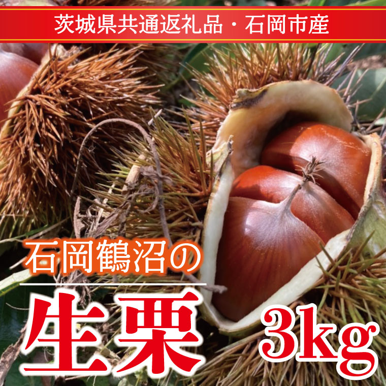y錧sszys\zy2025N9菇zΉߏ̐I  Rkgi錧ʕԗiEΉsYj(ER-3-1)