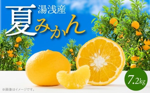 【和歌山県有田郡湯浅町】G7074_【2026年先行予約】湯浅産 夏みかん 7.2kg